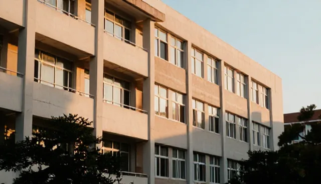电商运营中服务器性能问题及优化方案